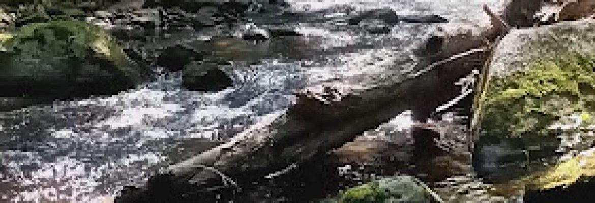 Newtown Halfway River Trail