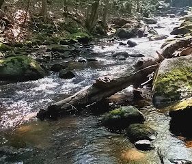 Newtown Halfway River Trail