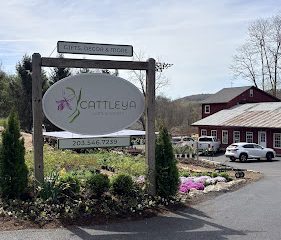 Cattleya Home & Garden