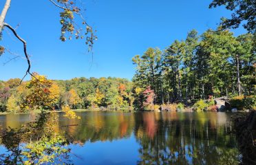 Branford Supply Pond Park