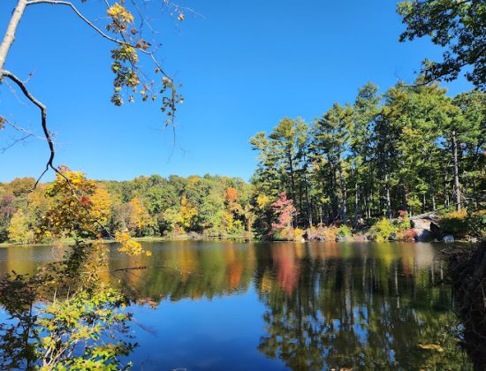 Branford Supply Pond Park