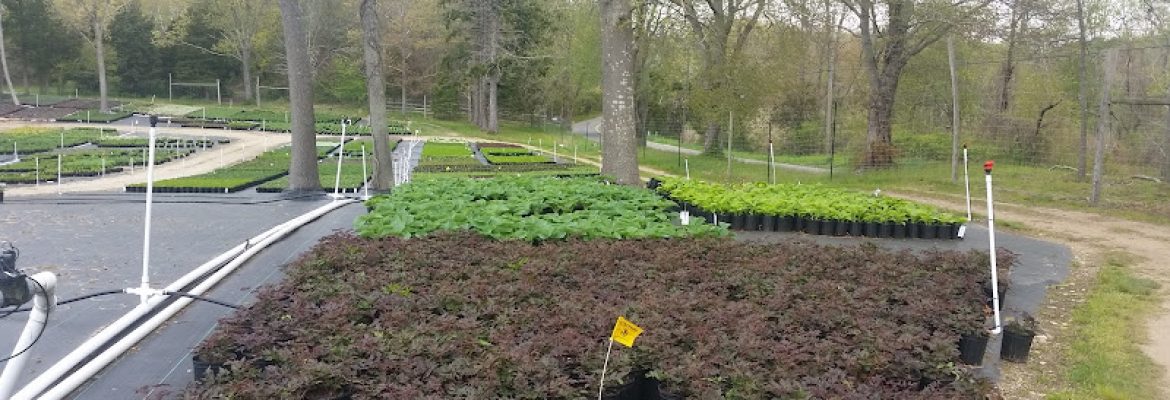Judge’s Farm