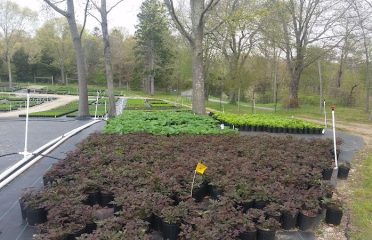 Judge’s Farm