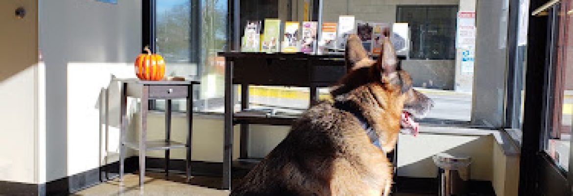 Veterinary Wellness Center of New Haven