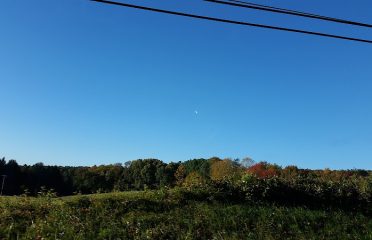 New England Septic & Excavatng