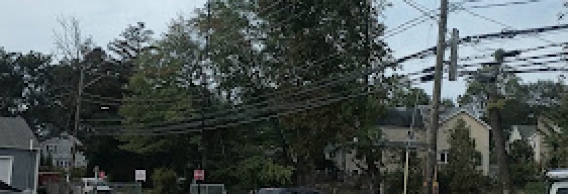 Orchard Tree Service Darien