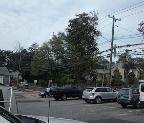 Orchard Tree Service Darien