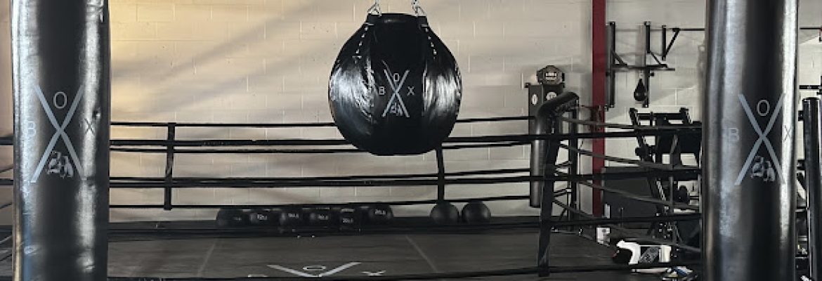 BOX-X Boxing and Fitness