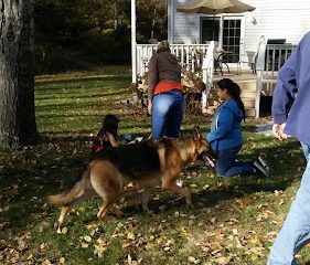 Maple Spring Farm