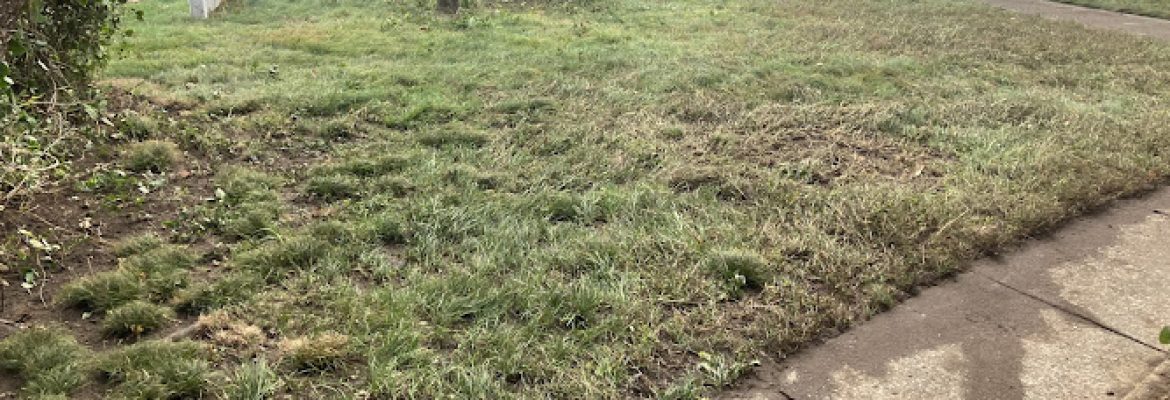 Ferraris landscaping & home improvement LLC