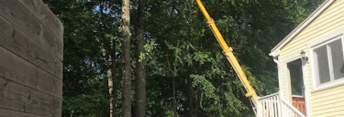 Summit tree service Middlebury