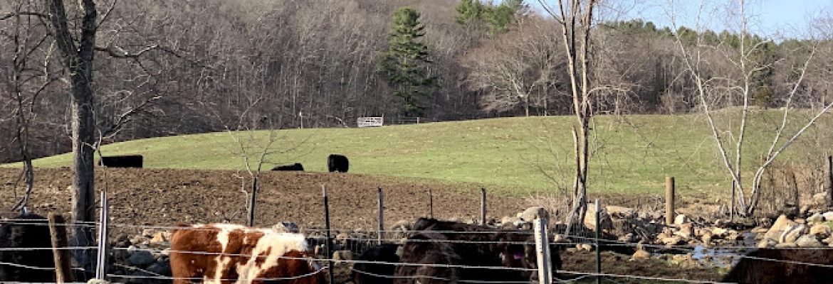 Willow Valley Farm