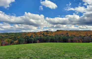 The Raymond Family Farm