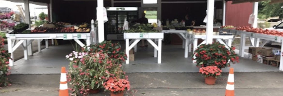 JC Farm and Greenhouses LLC
