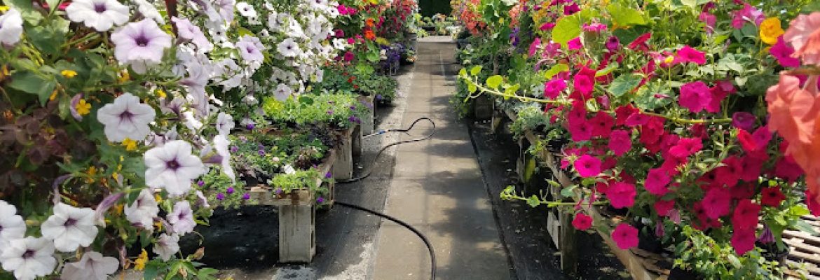 Mack & Twine Farms – Greenhouses