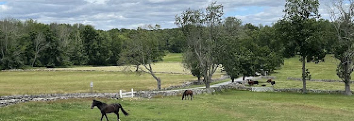 Little Dipper Farm