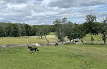 Little Dipper Farm
