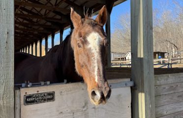 Sabills Morgan Horse Farm