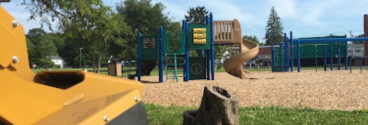 CT Stump Genie LLC