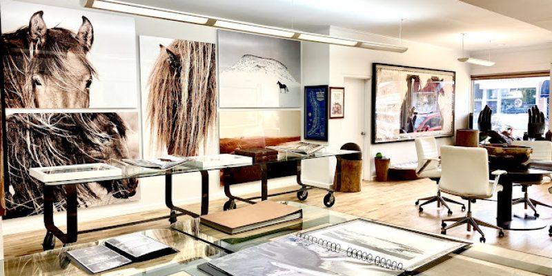 IAMWILD ART GALLERY