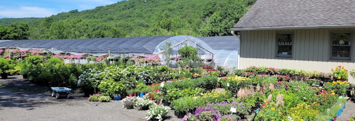 Aspetuck Gardens