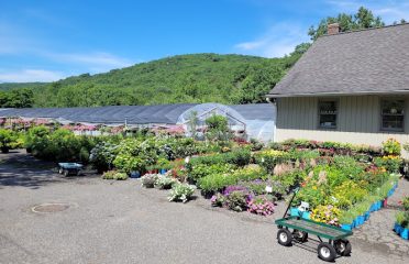 Aspetuck Gardens