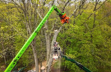 Morin Tree Service, LLC