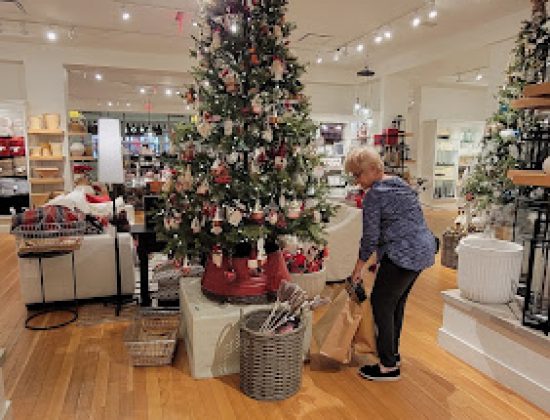 Pottery Barn