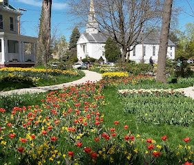 Colorblends House & Spring Garden