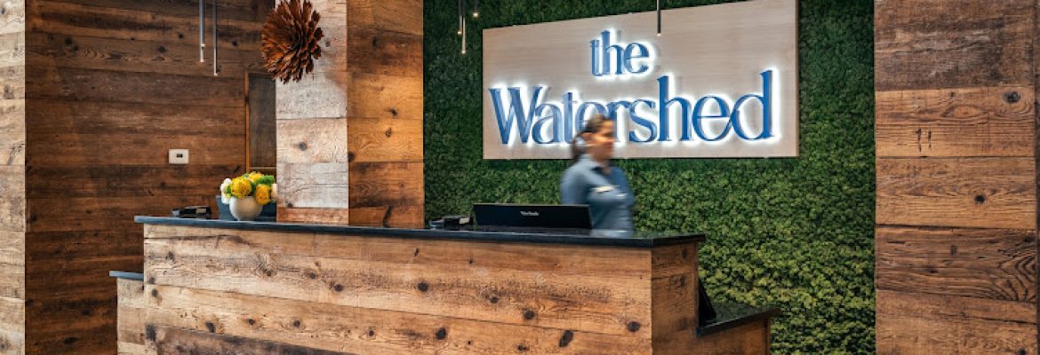 The Watershed