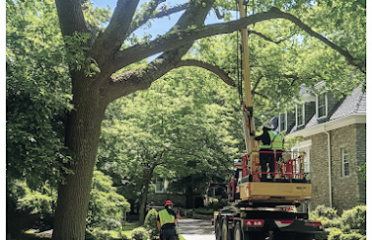 Fairfield Tree Service