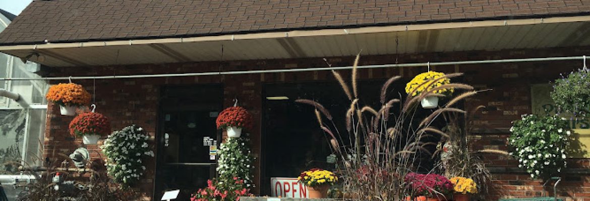 Paradise Nurseries