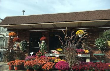 Paradise Nurseries