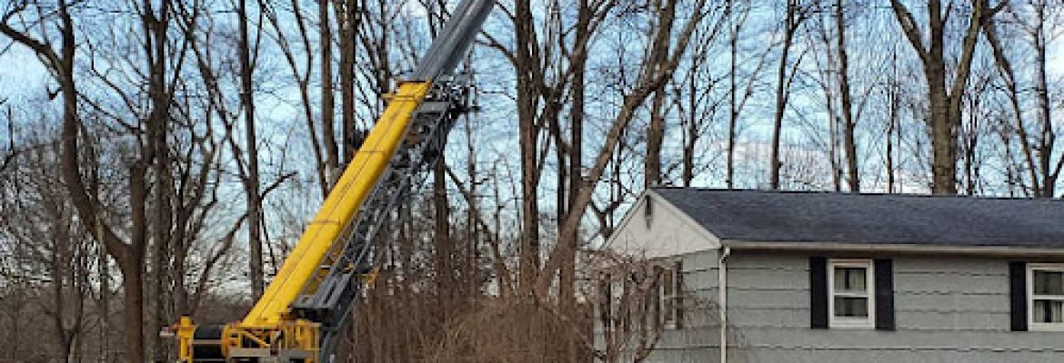 A.Kreta and Son Tree and Stump Removal