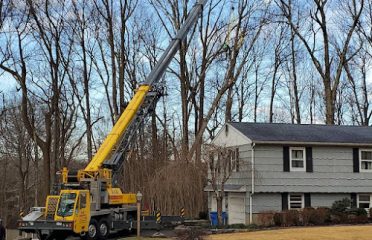 A.Kreta and Son Tree and Stump Removal