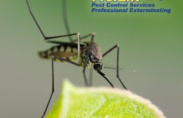 ProfExt Pest Control