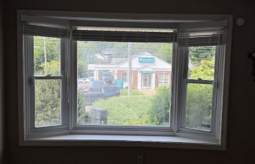 The Window People