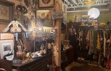 The Vintage Vault