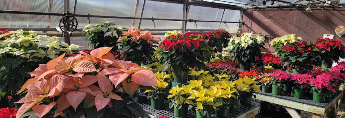 Tri-County Greenhouse
