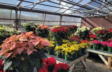Tri-County Greenhouse