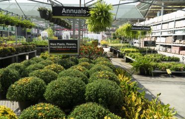 Garden Center at The Home Depot