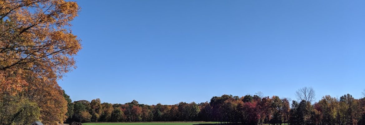Oxen Hill Farm, CSA