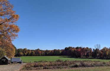 Oxen Hill Farm, CSA