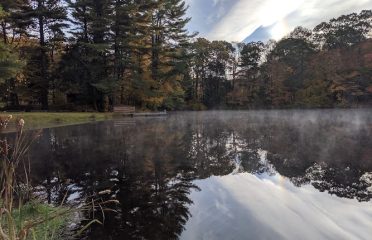 New London County 4-H Camp