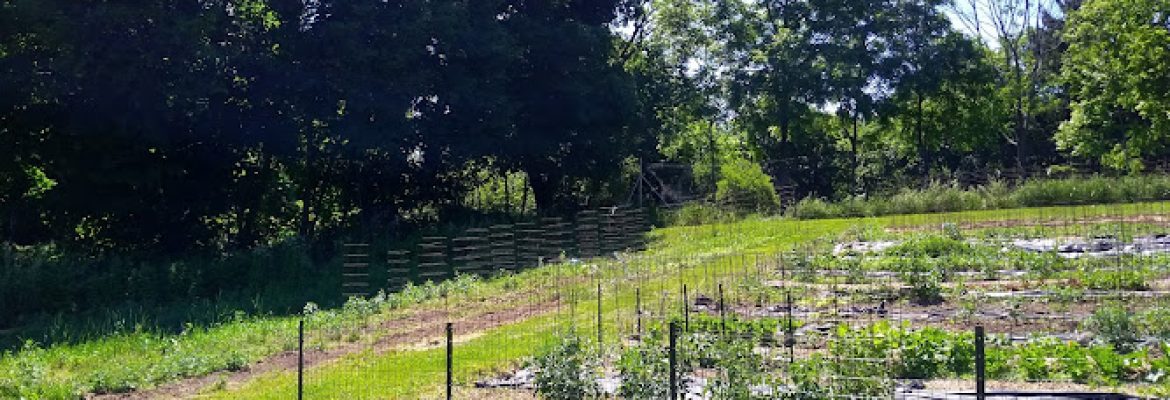 Boulder Knoll Community Farm