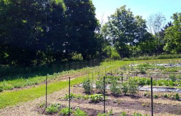 Boulder Knoll Community Farm