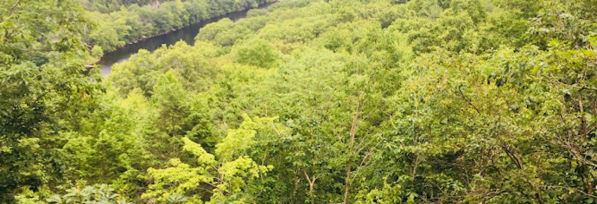 Webb Mountain Park