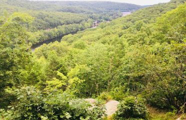 Webb Mountain Park