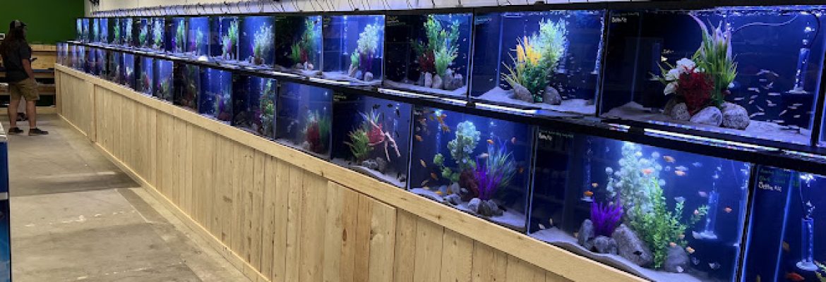 OSA Aquarium Superstores & Services – Groton CT