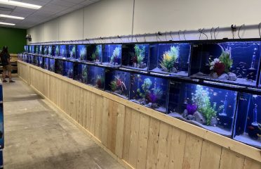 OSA Aquarium Superstores & Services – Groton CT